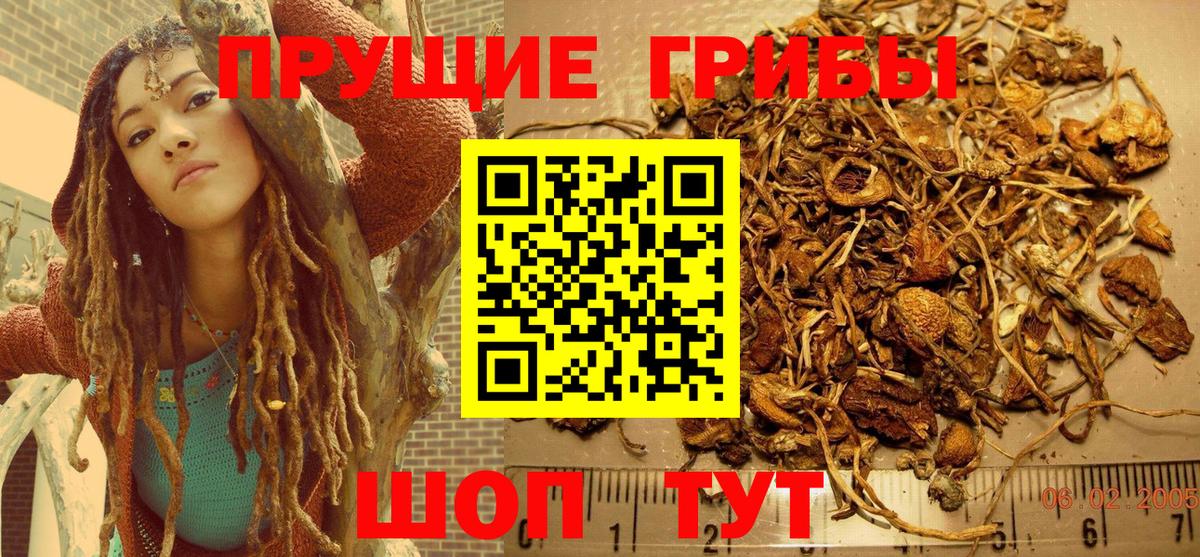 Зеленокумск  Псилоцибиновые грибы Magic Shrooms  Вход с VPN  Псилоцибиновые грибы Cubensis 